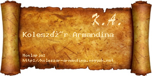 Koleszár Armandina névjegykártya